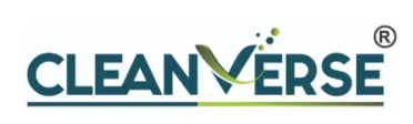 Cleanverse logo